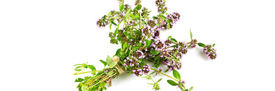 L'huile essentielle de Thym à Linalol